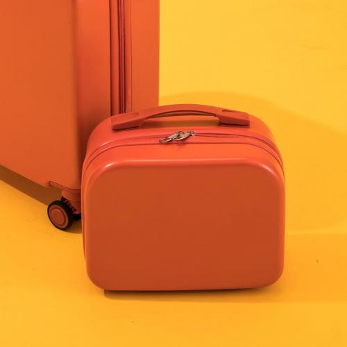 Custom Minin Cosmetic Luggage Case
